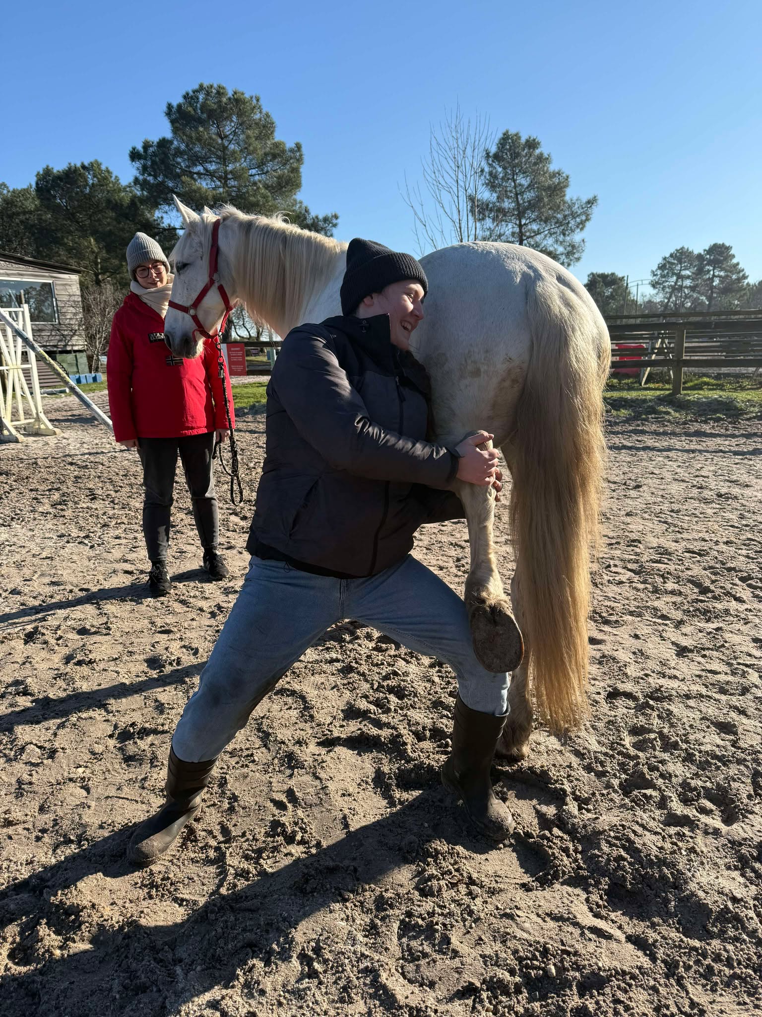 Manipulation cheval
